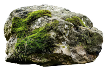 Nature mossy rock isolated on transparent background