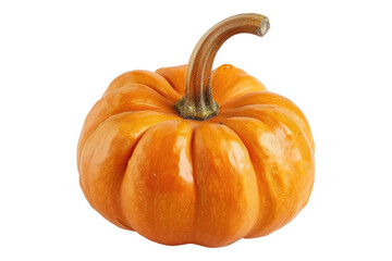 Obraz premium Mini pumpkin isolated on transparent background