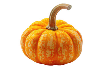 Obraz premium Mini pumpkin isolated on transparent background