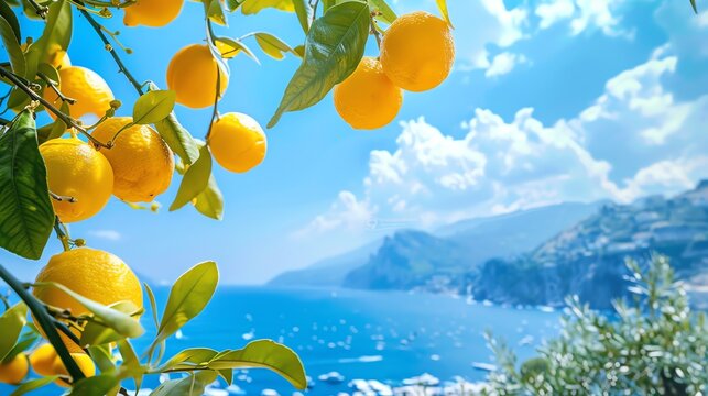 Vibrant lemons hanging from a tree with a serene ocean backdrop.  