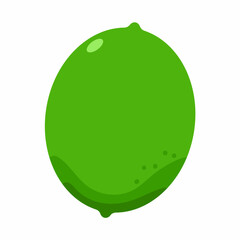Lime vector cartoon fruit illustration isolated on a white background.