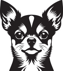 chihuahua dog vector