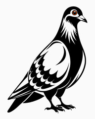 Obraz premium dove,dove of peace,dove isolated on white