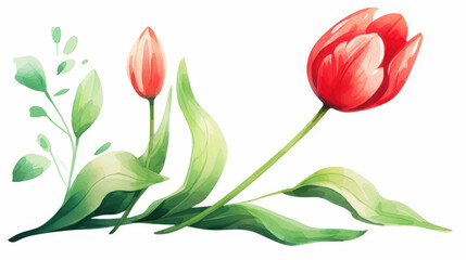 Obraz premium Vibrant watercolor painting of a bright red tulip with smooth gradients and intricate details.