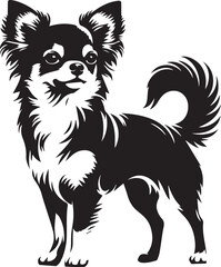 Obraz premium chihuahua dog vector