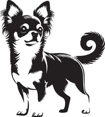 chihuahua dog vector