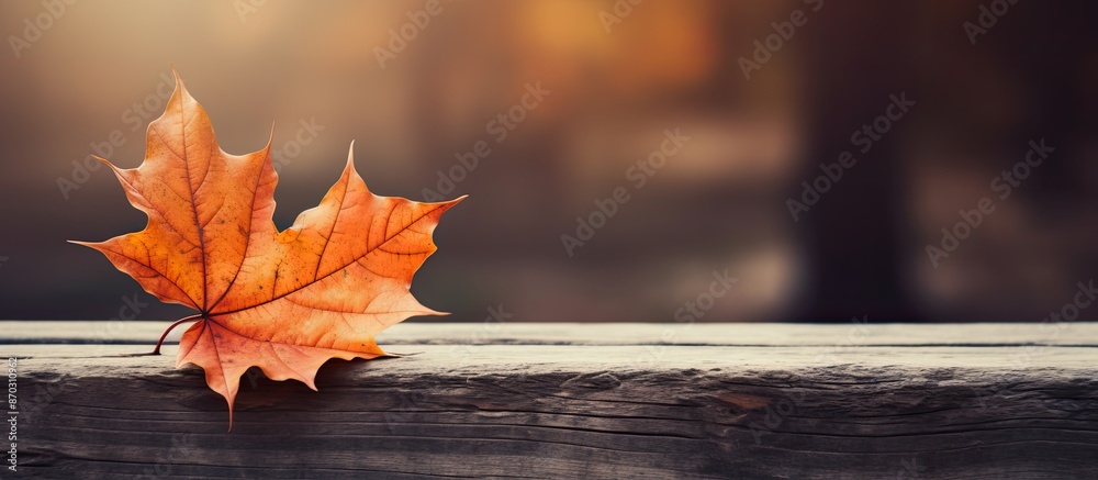Poster copy space image with an autumnal orange leaf resting on a wooden bench.