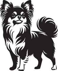 chihuahua dog vector