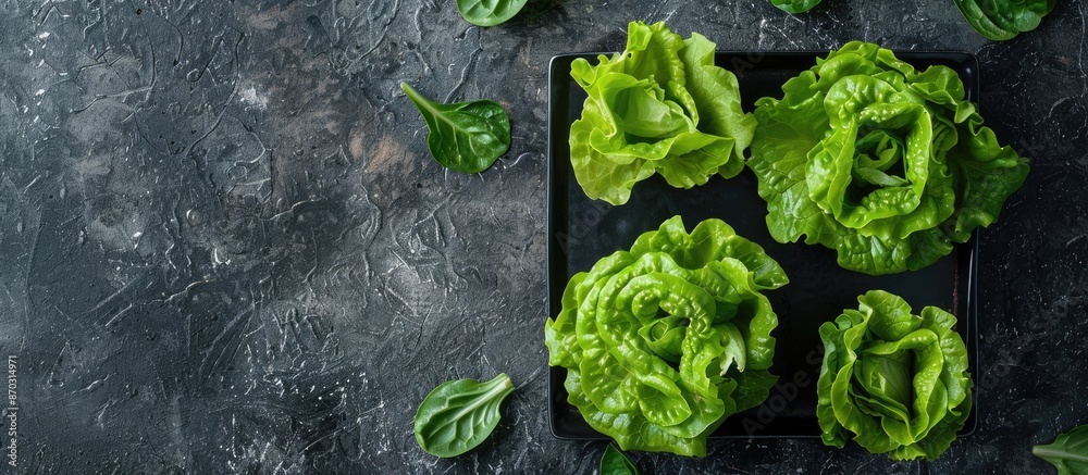 Aufkleber Different types of lettuce slices displayed on a square plate against a black background with a spacious area for additional imagery.