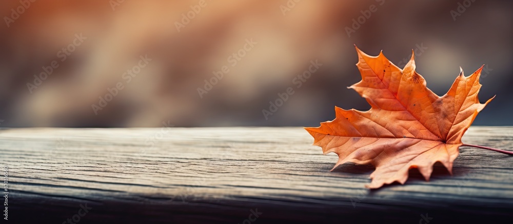 Poster A single autumn leaf is placed on a table with copy space image.