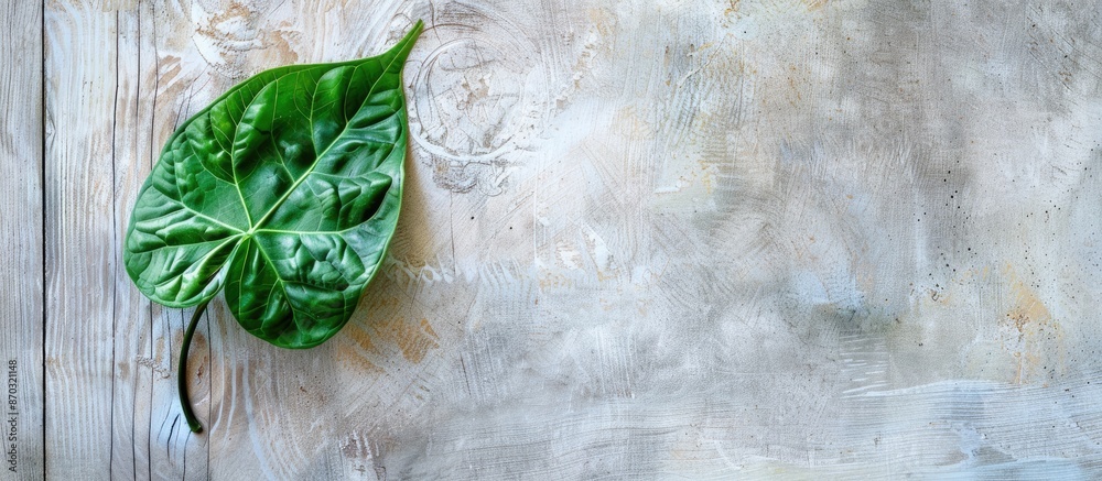 Poster A Syngonium podophyllum leaf is positioned within a frame on a gray wooden backdrop, creating a flat lay background with a copy space image.