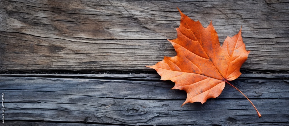 Aufkleber fallen leaf on a rustic wooden surface with a blank area for a picture (copy space image).