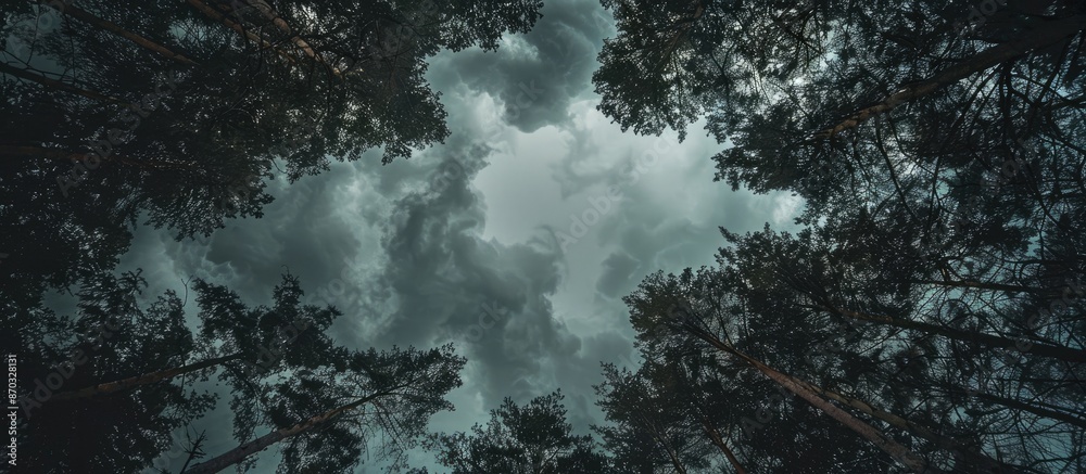 Poster looking up through the dark trees reveals the cloudy sky, with available copy space image below.