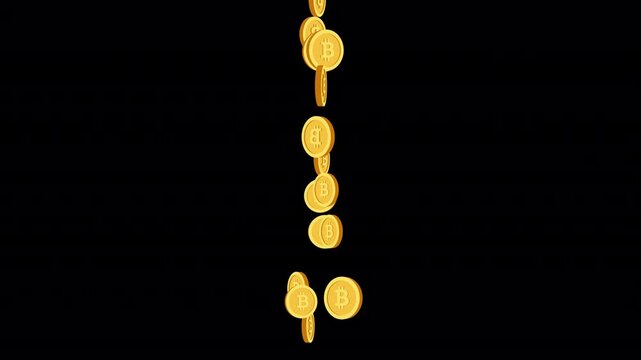 Falling Bitcoin Gold Coins. Animation of Golden Bitcoin Coins Dropping with Alpha Channel. Financial Wealth and Success.