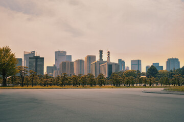 Tokyo Skyline in the evening sunset