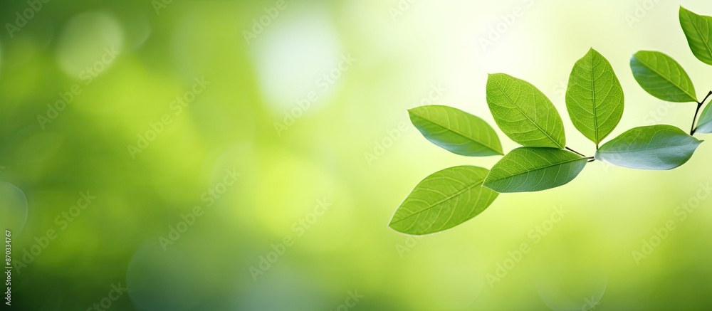 Poster a close-up image of a green leaf against a blurred garden backdrop, providing ample copy space for a