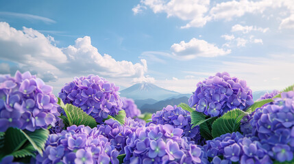 A vibrant field of purple hydrangeas blooms against a breathtaking backdrop of Mount Fuji in Japan, a picturesque scene showcasing the beauty of nature