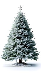 Fototapeta premium Christmas Tree