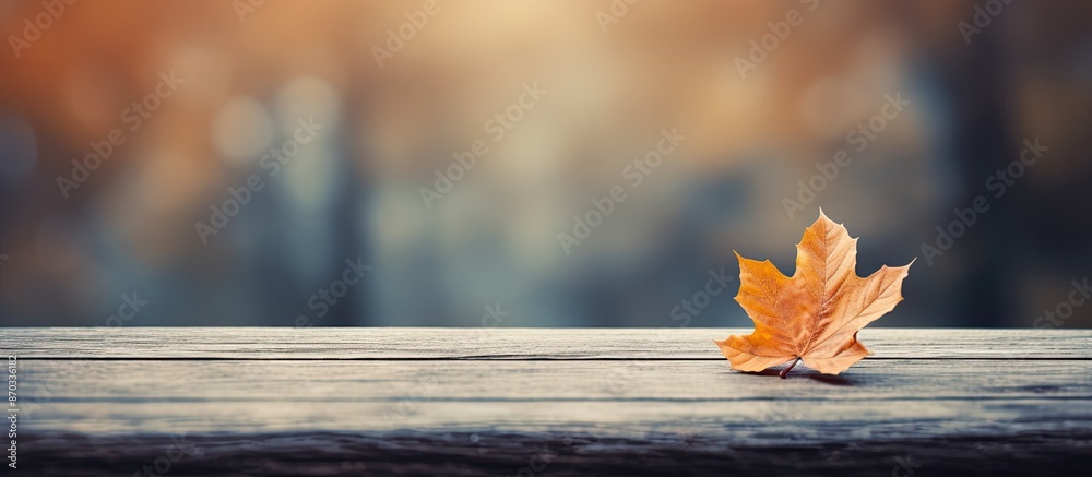 Poster A single autumn leaf is placed on a table with copy space image.