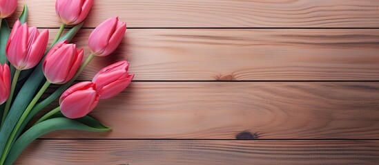 Spring flat lay concept with a vibrant tulip on a contemporary wooden backdrop, presenting copy space image.