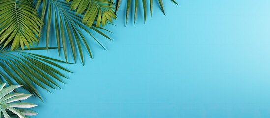 Top view banner for a travel agency featuring tropical palm tree leaves on a blue background, providing a copy space image.