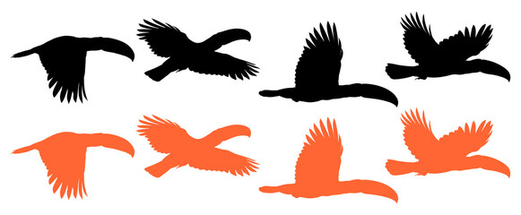 Obraz premium Silhouette illustrations of flying toucans isolated on transparent background