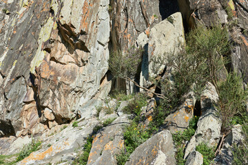 Rocky slope of a mountain with green grass and flowers in the foreground