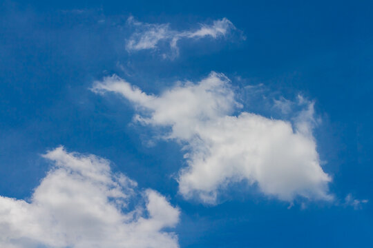 Fresh blue sky with floated white soft and fluffy clouds shown shaping like elephant rising its trunk. Background for kid education or imagination learning for children. Image of animal cloud concept.