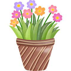 Beautiful flowers in a brown pot