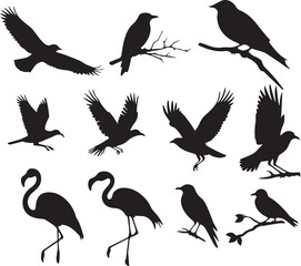 Flying birds silhouettes isolated on white background, vector. Set of flying birds, illustration. Scale to any size. EPS 10 format file