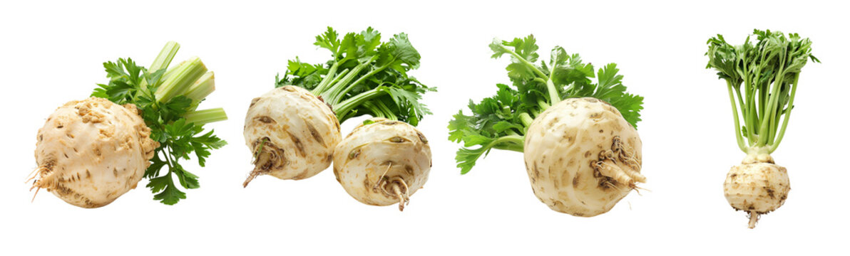 Celeriac celery root vegetable design elements cutout set, healthy ingredient brown
