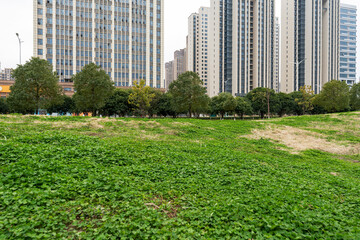 Obraz premium city park with modern building background in shanghai