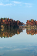 Beautiful forest lake in the autumn day