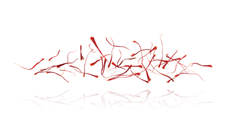 Flying saffron stamens composition isolated on white background. 