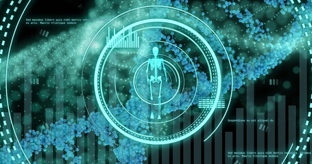 Image of walking skeleton in loading circles over dna helix and computer language