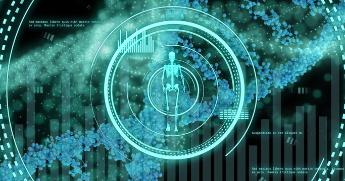 Image of walking skeleton in loading circles over dna helix and computer language