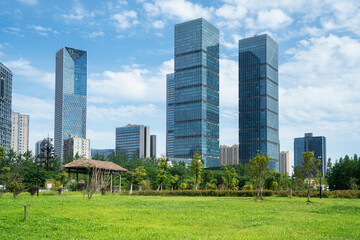 Fototapeta premium city park with modern building background in shanghai