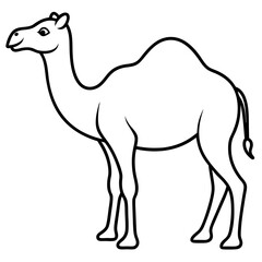 Camel line art vector design silhouette illustration.