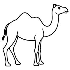 Camel line art vector design silhouette illustration.