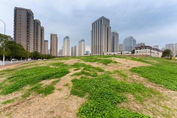 Obraz premium city park with modern building background in shanghai