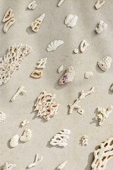 Sea shells, corals, sea stones with sun shadow at sunlight, nature photo of white shell and coral pieces scattered on light beige concrete, minimal monochrome vertical pattern, neutral pastel tones