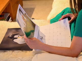 Hands of a young woman holding a custom made Calendar printed using travel photos. Sitting comfortably on a white sofa at home.