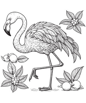 recommend clip art: Flamingo line art