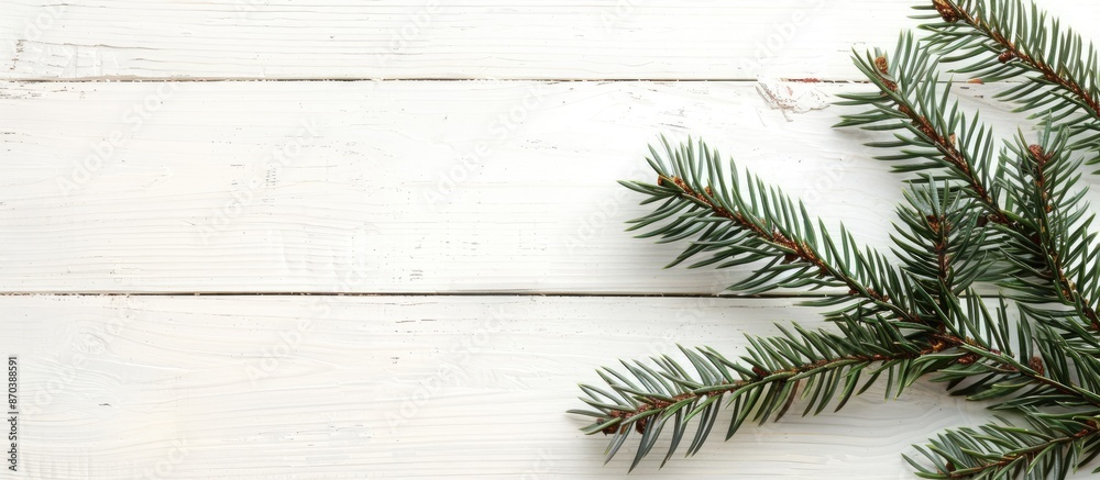 Poster side view of a fluffy spruce christmas branch on a light white wooden backdrop with ample copy space