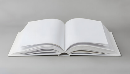 mockup book