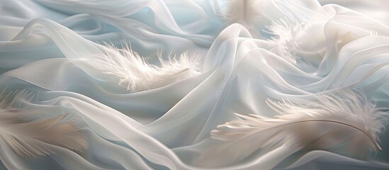 Silky white feathers create a delicate background, complemented by a gently flowing chiffon wave, perfect for your copy space image.