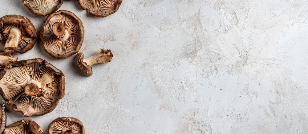 Poster Background with dried shiitake mushrooms in copy space image.
