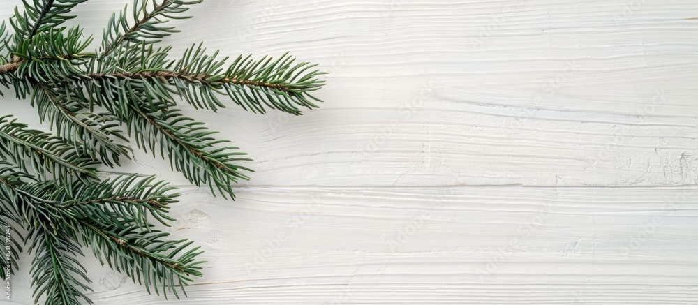 Poster side view of a fluffy spruce christmas branch on a light white wooden backdrop with ample copy space