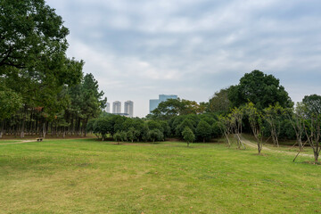 Beautiful panorama of green city park