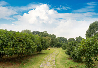 The road of City Park in China